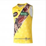 Camiseta Richmond Tigers AFL 2023 Indigena