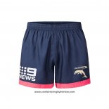 Pantalones Cortos Dolphins Rugby 2026